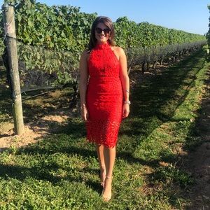 Bardot “Gemma” crochet sheath dress